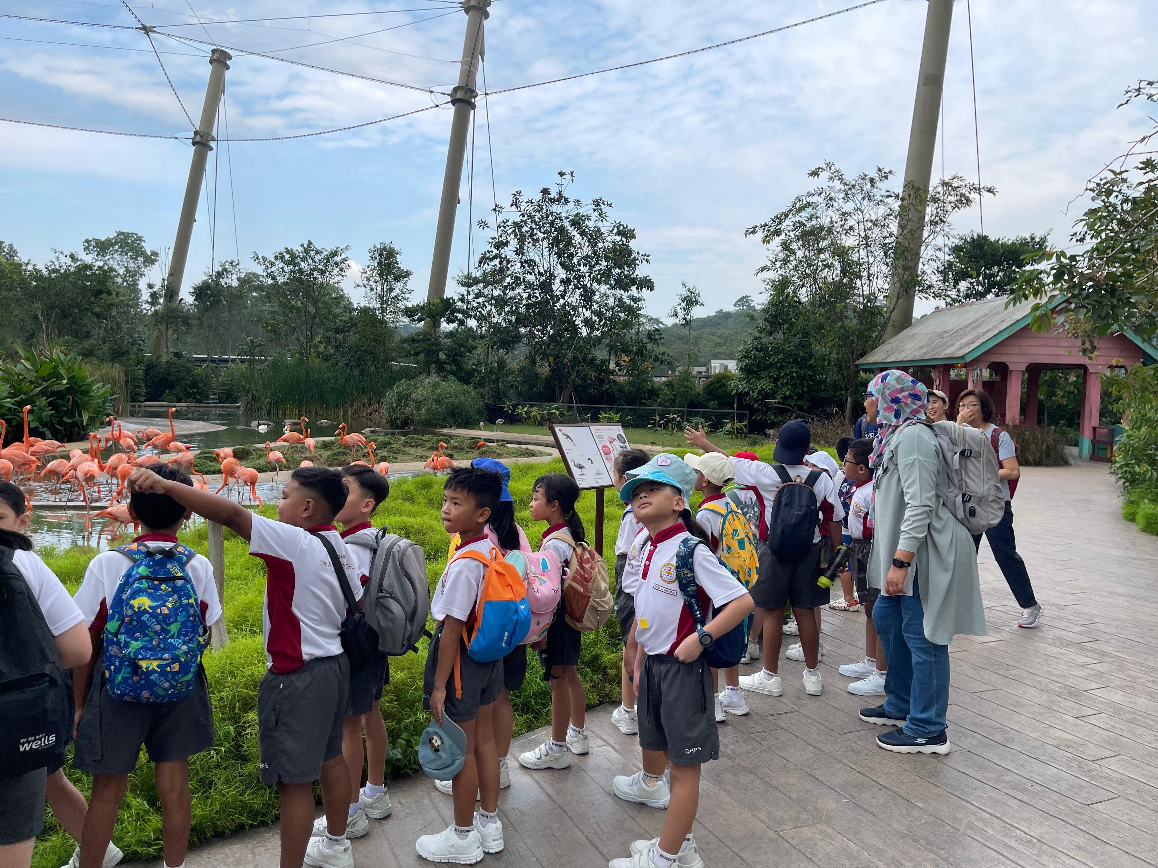 P2 learning journey at Bird Paradise